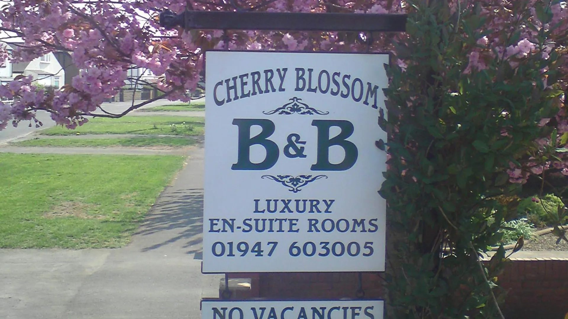 Bed and Breakfast Cherry Blossom Guest House Γουίτμπι